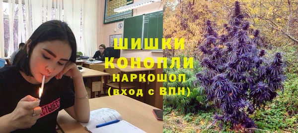 крисы Кукмор