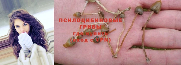 соль ск Куйбышев