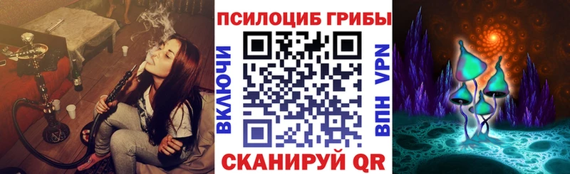 Псилоцибиновые грибы Cubensis  Купить где  Новоуральск 