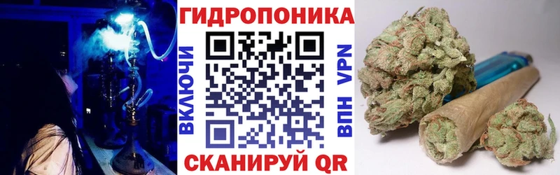 Конопля Bruce Banner Новоуральск